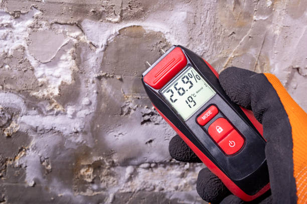 Crawl Space Mold Removal in White Settlement, TX
