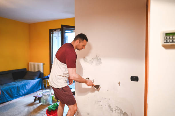 Best Crawl Space Mold Removal  in White Settlement, TX